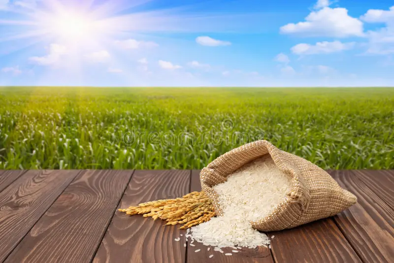 best Basmati rice in India